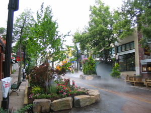 Arts Fest