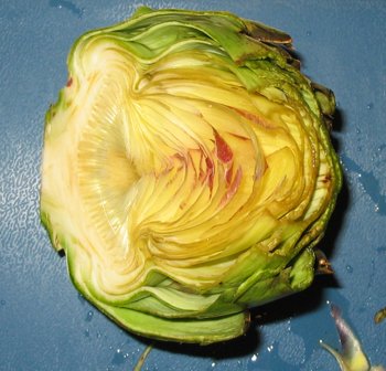 half artichoke