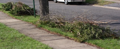 piles of pruning