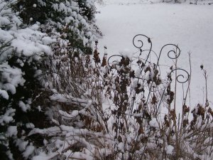 snowy garden