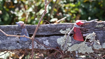 Poppets in the garden