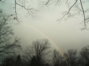 winter rainbow