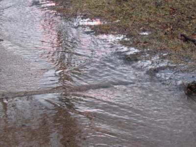 Watery sidewalk