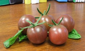 black cherry tomatos