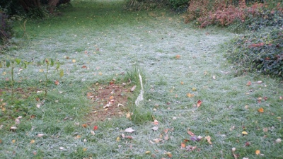 First frost