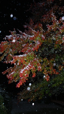 October snow