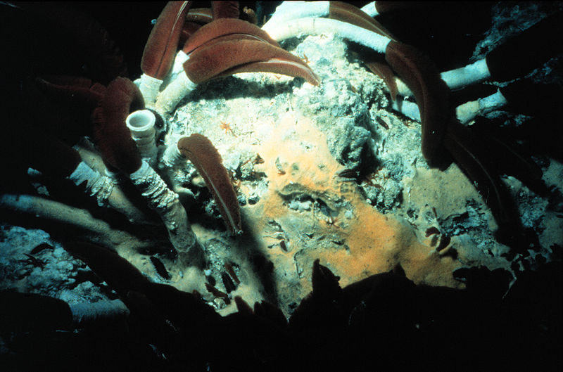Deep sea vent