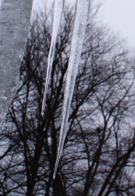 Icicles