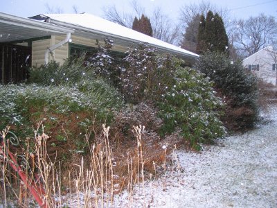 Snowy yard