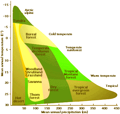 Biome Temperature And Precipitation Chart