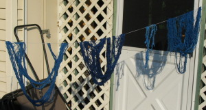 indigo silk /></p>
<p>Since it’s been in the 90s here, I decided it was probably okay to plant tomatoes. Even though it snowed a couple weeks ago, and was in the 30s right before it hit the 90s. Maybe I’m optimistic. I got four tomato plants, some basil and some parsley at the new Wednesday farmer’s market on campus by my office (convenient!), and traded Tamie for a white sage.</p>
<p><img decoding=