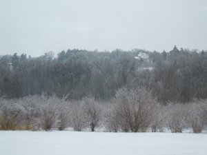 Nebraska City