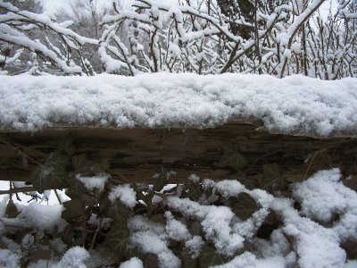 snow