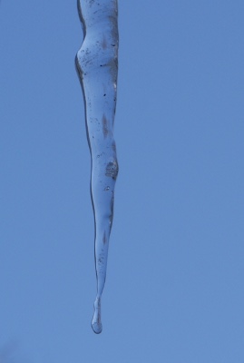 Melting icicles
