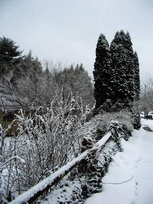 snow