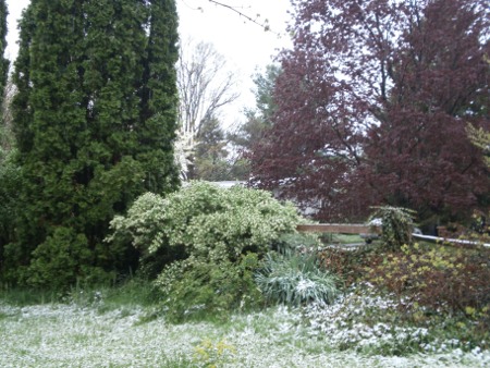 snow in April